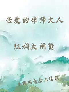 亲爱的律师大人