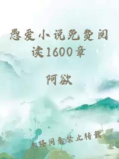 愚爱小说免费阅读1600章