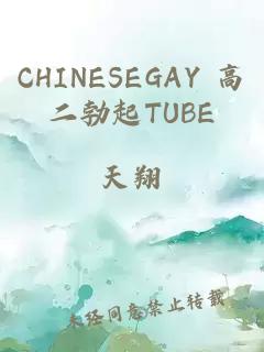 CHINESEGAY 高二勃起TUBE