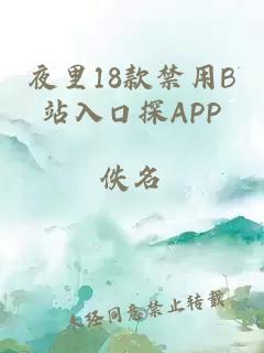 夜里18款禁用B站入口探APP