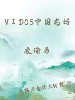 VⅠDOS中国老妈