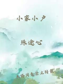 小家小户