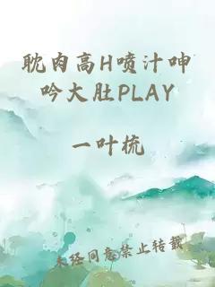 耽肉高H喷汁呻吟大肚PLAY