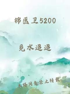 锦医卫5200