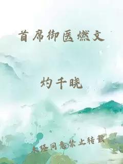 首席御医燃文