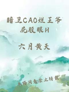 暗卫CAO烂王爷屁股眼H