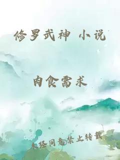 修罗武神 小说