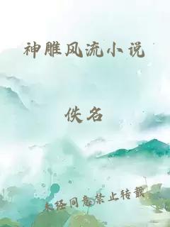 神雕风流小说