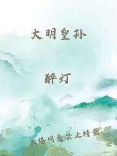 大明皇孙