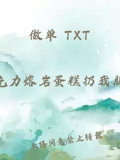 做单 TXT