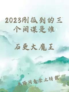 2023刚抓到的三个间谍是谁