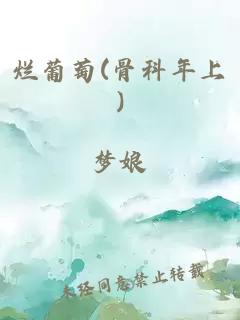 烂葡萄(骨科年上)