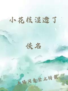 小花核湿透了