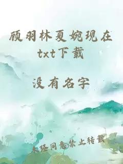 顾羽林夏婉现在txt下载