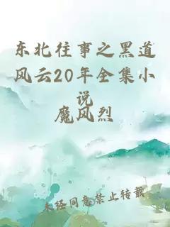 东北往事之黑道风云20年全集小说