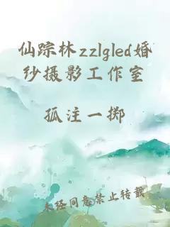 仙踪林zzlgled婚纱摄影工作室