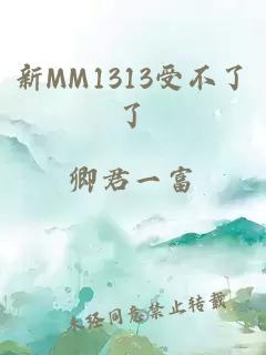 新MM1313受不了了