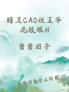 暗卫CAO烂王爷屁股眼H