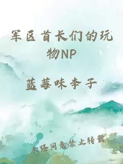 军区首长们的玩物NP