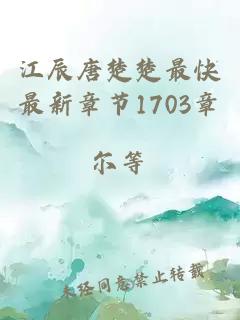 江辰唐楚楚最快最新章节1703章