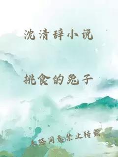 沈清辞小说