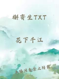 槲寄生TXT