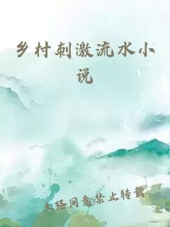 乡村刺激流水小说