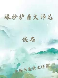 爆炒炉鼎大师兄