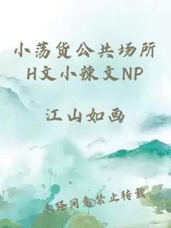 小荡货公共场所H文小辣文NP