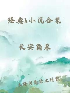 经典h小说合集