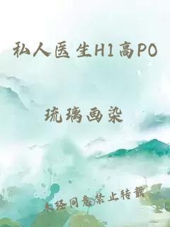 私人医生H1高PO