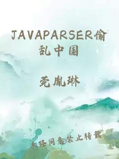 JAVAPARSER偷乱中国