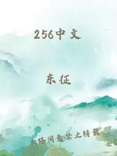 256中文