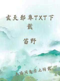 玄天邪尊TXT下载