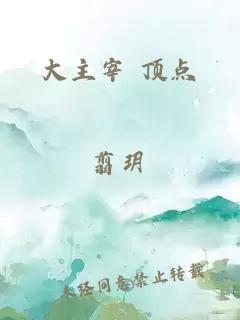 大主宰 顶点