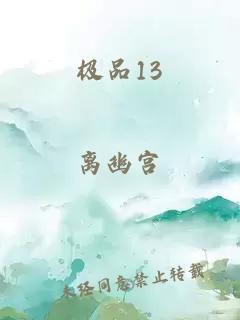 极品13