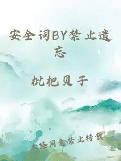 安全词BY禁止遗忘