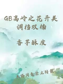 GB高岭之花开关调档双楠