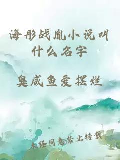 海彤战胤小说叫什么名字