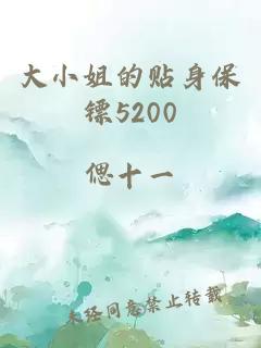 大小姐的贴身保镖5200