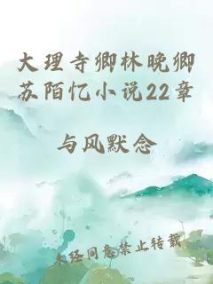 大理寺卿林晚卿苏陌忆小说22章