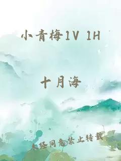 小青梅1V 1H