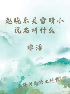 黑道傻后