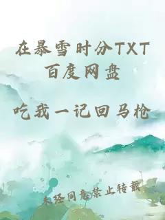 在暴雪时分TXT百度网盘