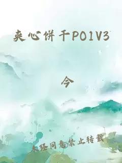 夹心饼干PO1V3