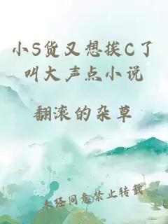 小S货又想挨C了叫大声点小说