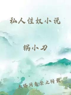 私人性奴小说