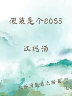 假装是个BOSS