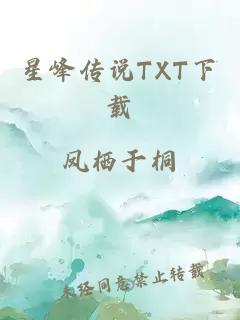 星峰传说TXT下载