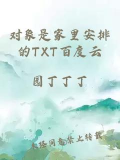 对象是家里安排的TXT百度云